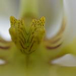 _DSC0034