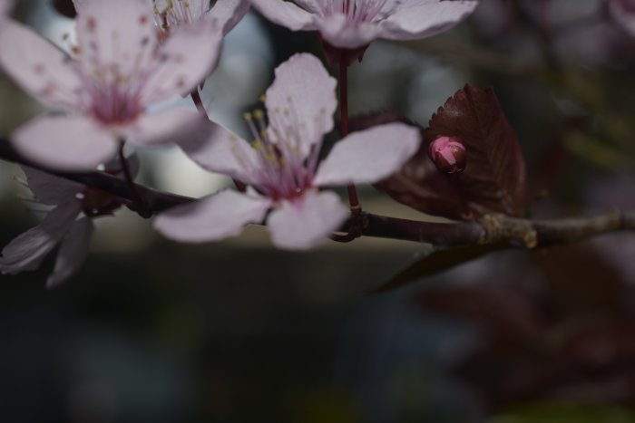 _DSC0059