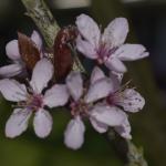 _DSC0060