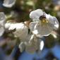 _DSC0069 (2)