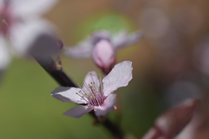 _DSC0090