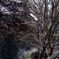 _DSC0001 (2)